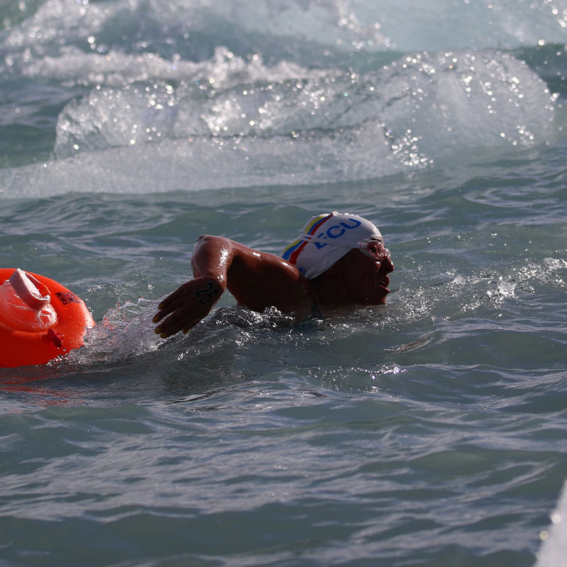 img calafate sara de mar